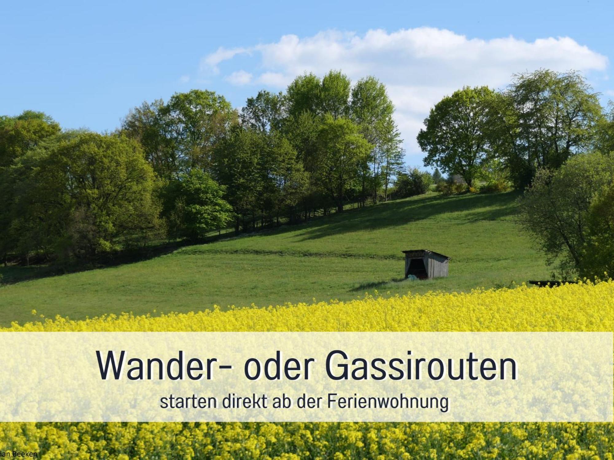 Am Feldrain - Urlaub Mit Hund Im Weserbergland Hannoversch Münden Esterno foto